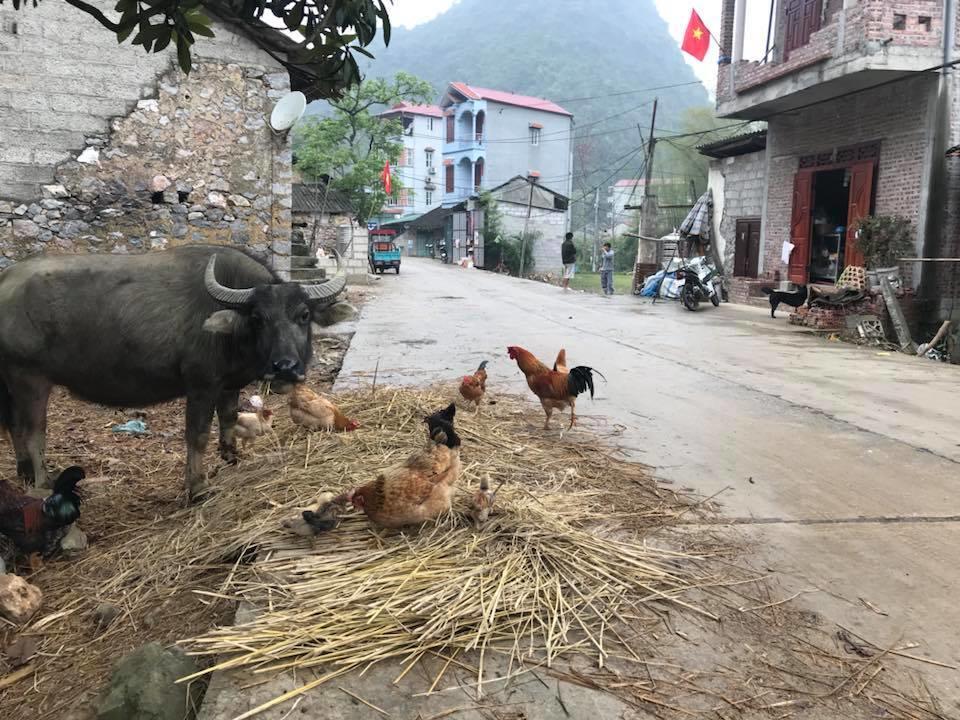 A Sy Ban Gioc Homestay - Nha San Da Co Cao Bang Dış mekan fotoğraf